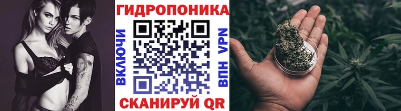 Бошки Шишки VHQ  Купить закладки  Зеленогорск 